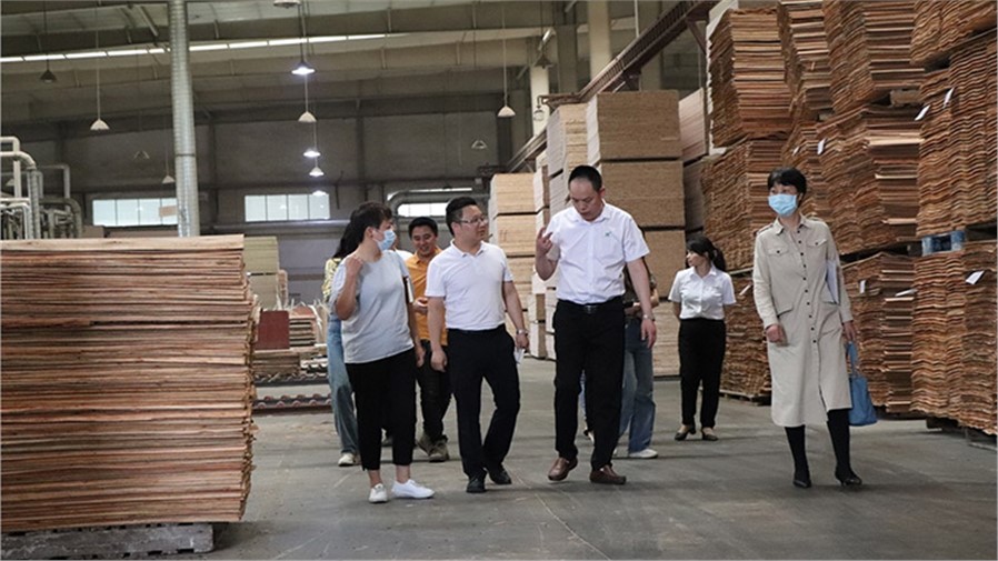 懷化市科技局等一行人，蒞臨喬偉家居生態(tài)板工廠評(píng)審湖南省創(chuàng)新創(chuàng)業(yè)大賽